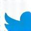 Twitter icon