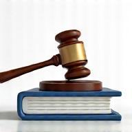 Gavel and documents representing business law